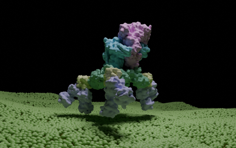 Toxinkomplexet 